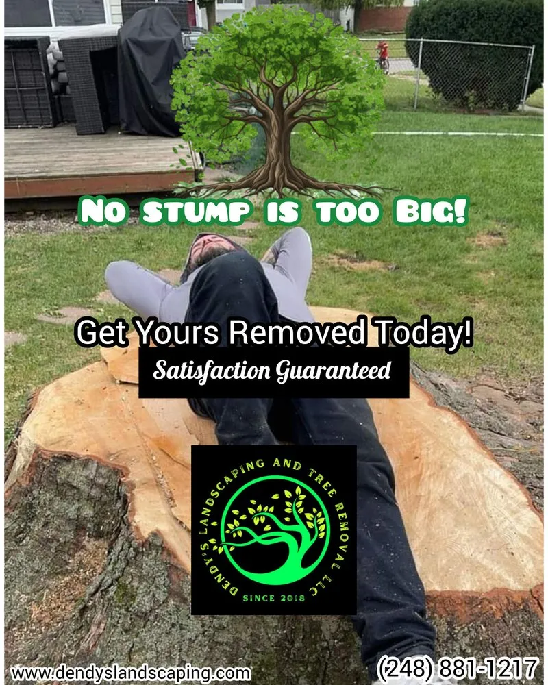 Professional lawn mowing service in Davisburg, MI by Dendy’s Landscaping And Tree Removal