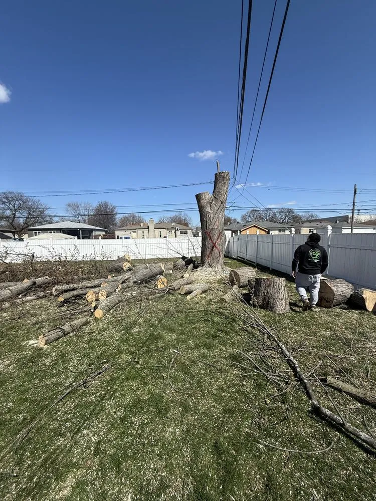 Professional lawn care service in Davisburg, MI - Dendy’s Landscaping And Tree Removal