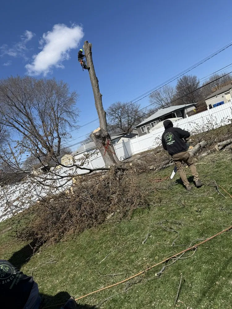 Expert garden landscaping near you across Davisburg, MI - Dendy’s Landscaping And Tree Removal