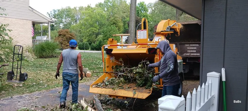 Professional outdoor landscaping in Davisburg, MI - Dendy’s Landscaping And Tree Removal