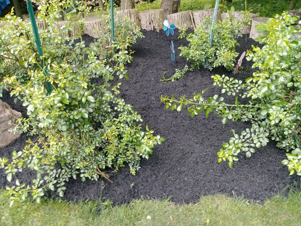 Reliable garden landscaping experts serving Columbus, OH - Deneil's Lawn Service