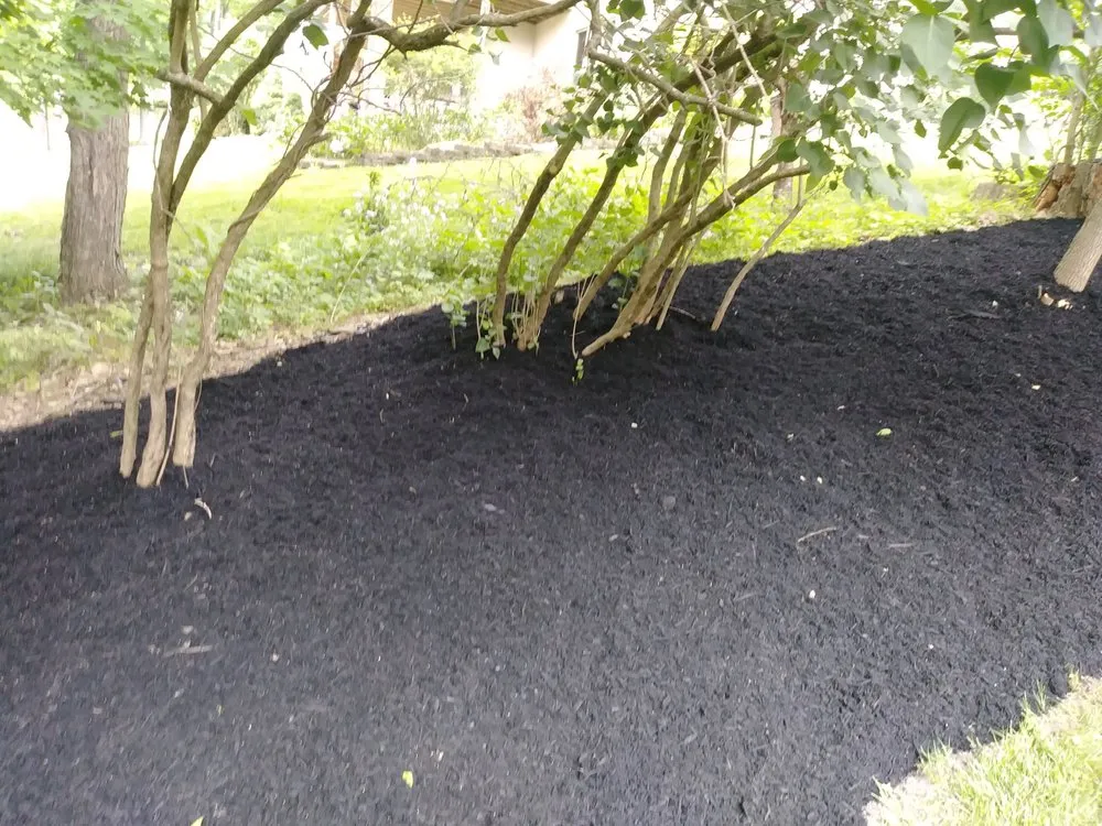 Custom landscape design for residential properties in Columbus, OH by Deneil's Lawn Service