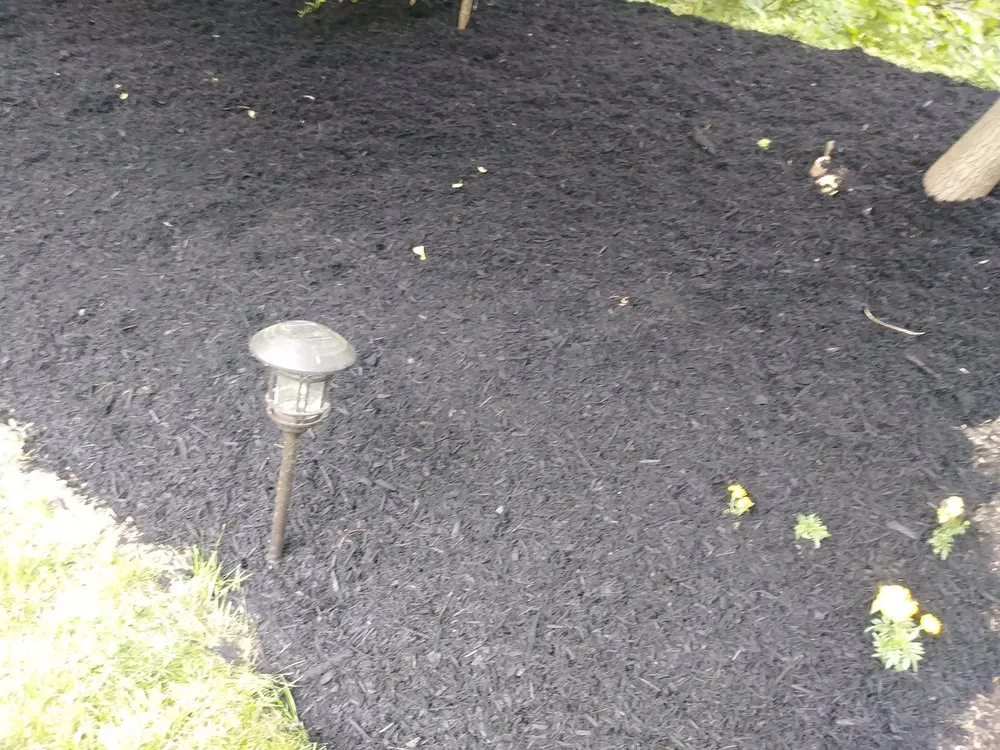 Reliable landscape installation for residential properties in Columbus, OH by Deneil's Lawn Service