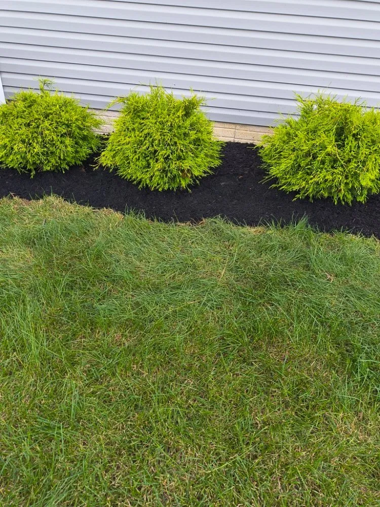Reliable yard maintenance in Columbus, OH by Deneil's Lawn Service