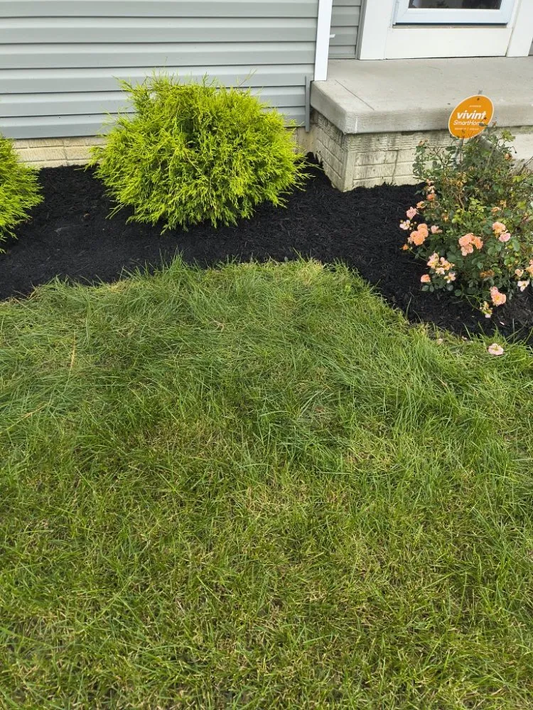 Reliable outdoor landscaping near you in Columbus, OH by Deneil's Lawn Service