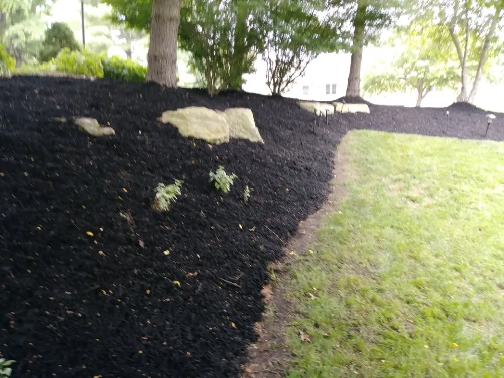 Professional landscaping services experts serving Columbus, OH - Deneil's Lawn Service