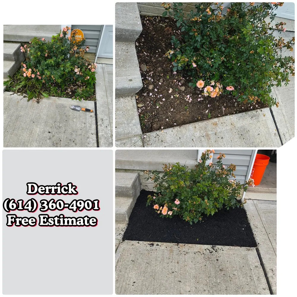 Trusted lawn mowing service in Columbus, OH - Deneil's Lawn Service