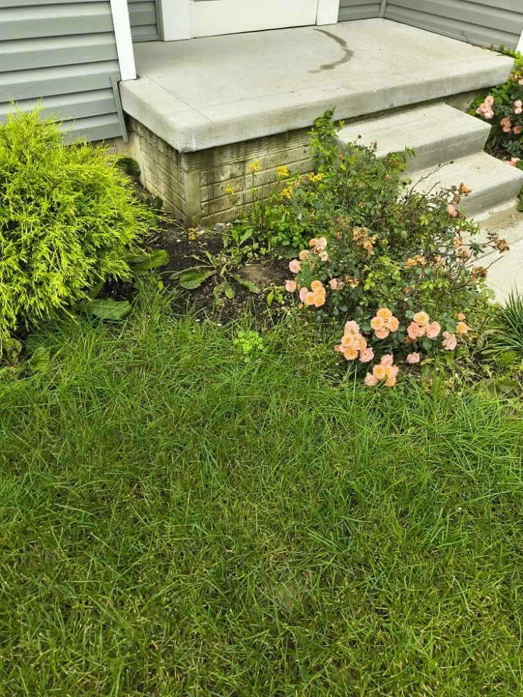 Professional outdoor landscaping for homes across Columbus, OH - Deneil's Lawn Service