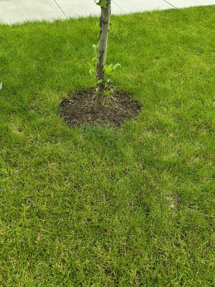 Reliable garden landscaping in Columbus, OH by Deneil's Lawn Service