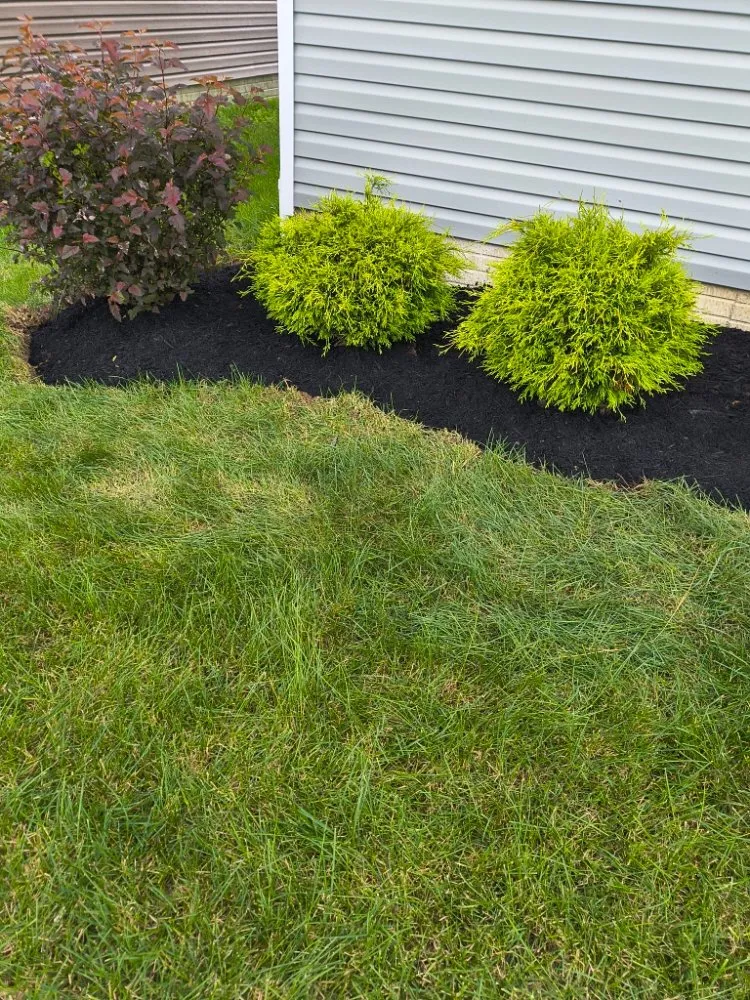Local yard cleanup service in Columbus, OH by Deneil's Lawn Service