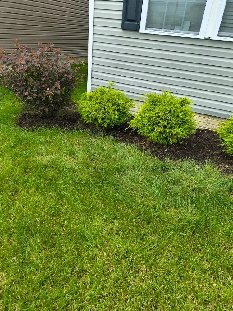 Trusted outdoor landscaping near you across Columbus, OH - Deneil's Lawn Service