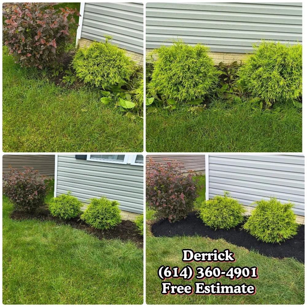Local lawn care service in Columbus, OH - Deneil's Lawn Service