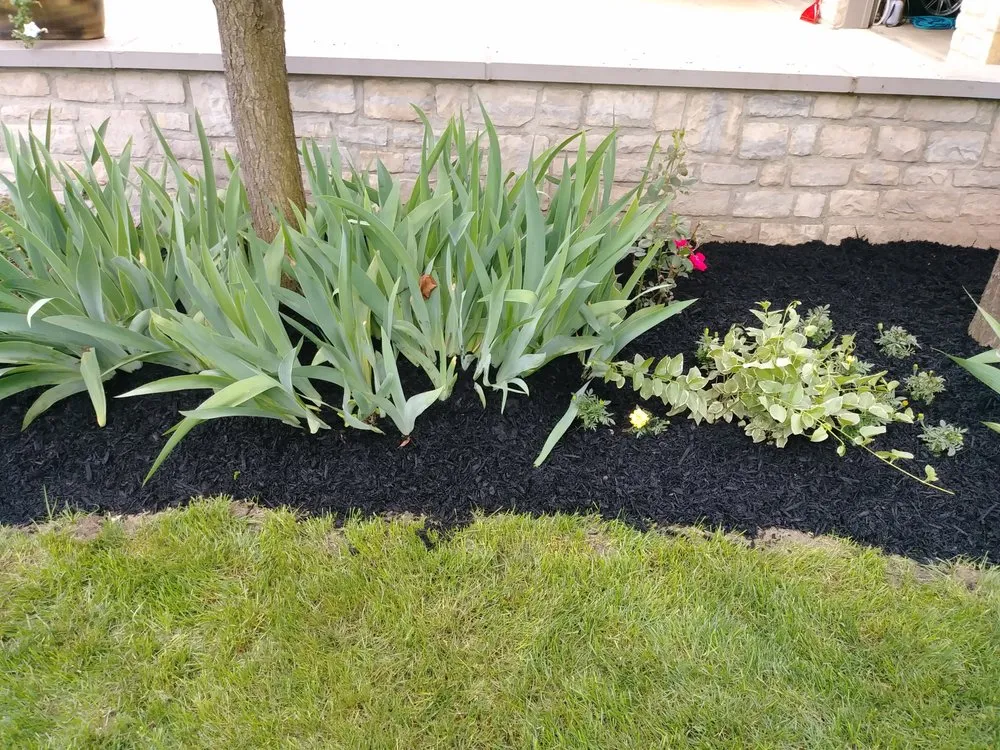 Affordable landscaping services for year-round maintenance across Columbus, OH - Deneil's Lawn Service