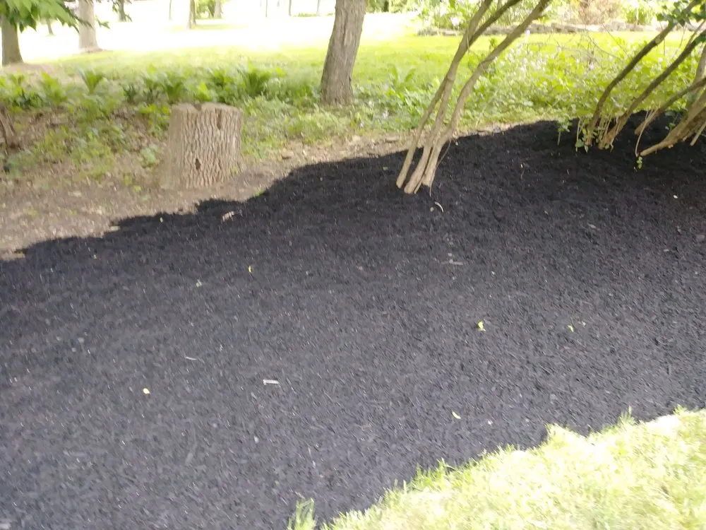 Top-rated yard maintenance for outdoor upgrades across Columbus, OH - Deneil's Lawn Service