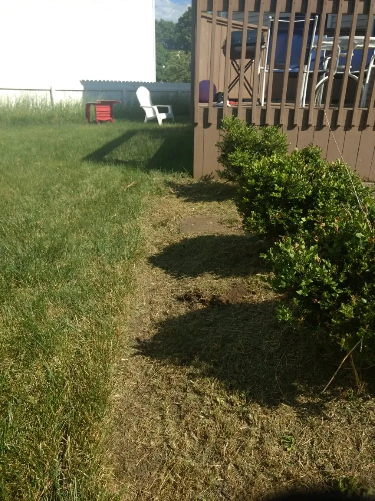 Top-rated outdoor landscaping near you in Marengo, OH by Denes Solutions