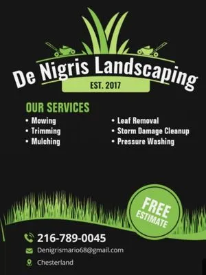 DeNigris Landscaping Logo