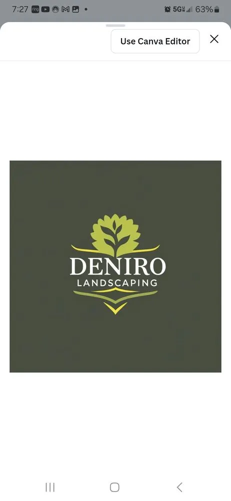 Professional yard cleanup service experts serving Detroit, MI - Deniro landscaping