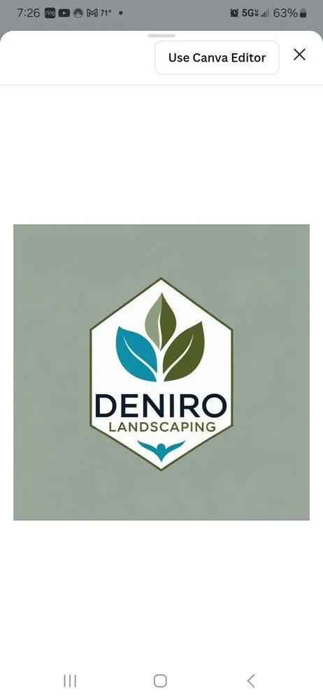Professional lawn care service experts serving Detroit, MI - Deniro landscaping