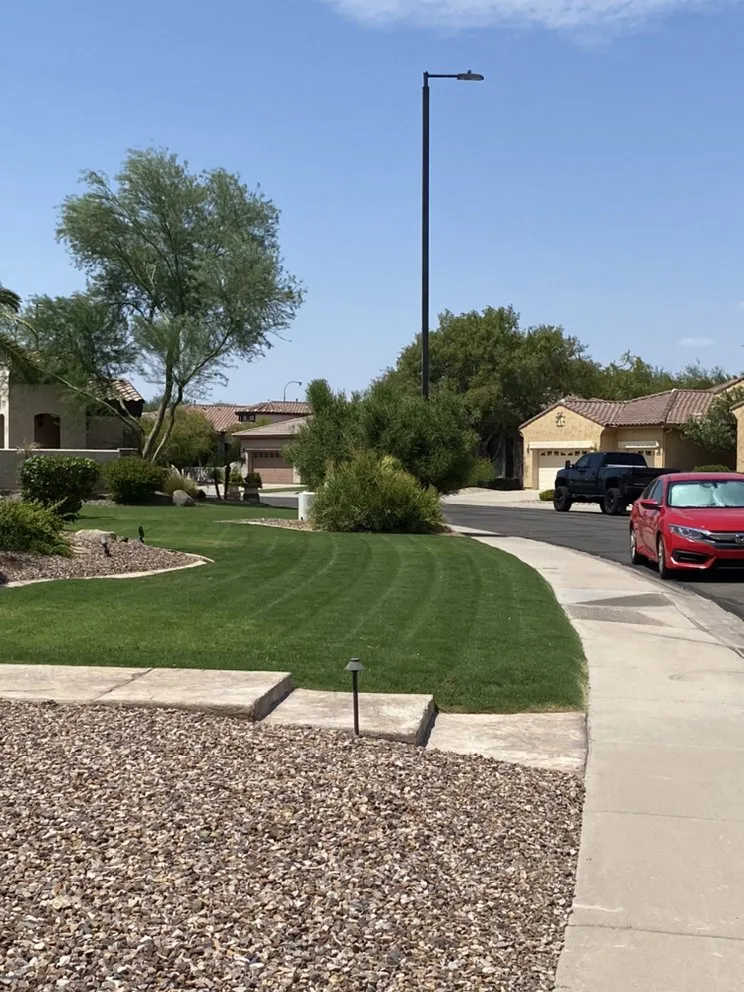 Trusted lawn care service for outdoor upgrades across Chandler, AZ - Denis Landscaping
