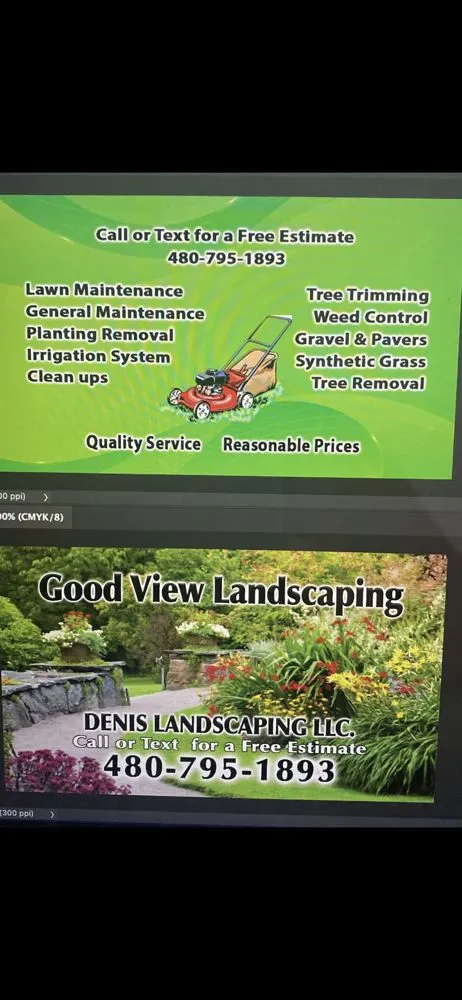 Professional yard cleanup service in Chandler, AZ by Denis Landscaping