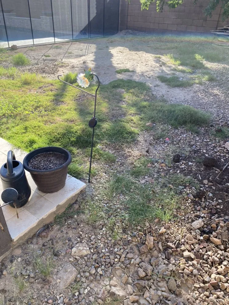 Professional garden landscaping in Chandler, AZ by Denis Landscaping