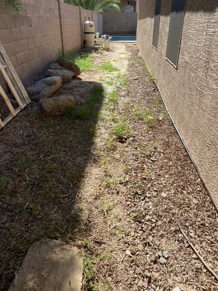Reliable lawn mowing service in Chandler, AZ - Denis Landscaping