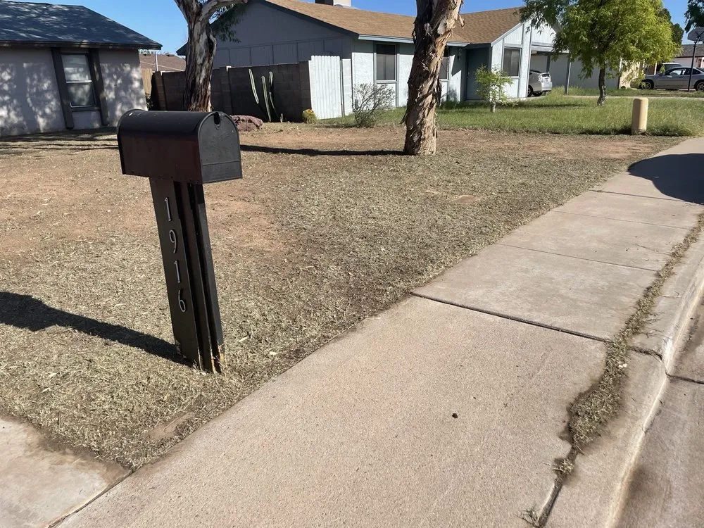 Professional lawn mowing service experts serving Chandler, AZ - Denis Landscaping