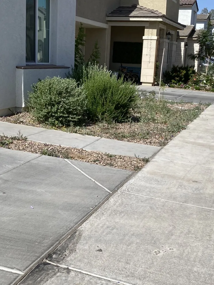 Professional landscape installation near you across Chandler, AZ - Denis Landscaping