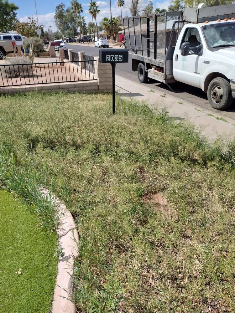 Top-rated lawn care service for beautiful yards across Chandler, AZ - Denis Landscaping
