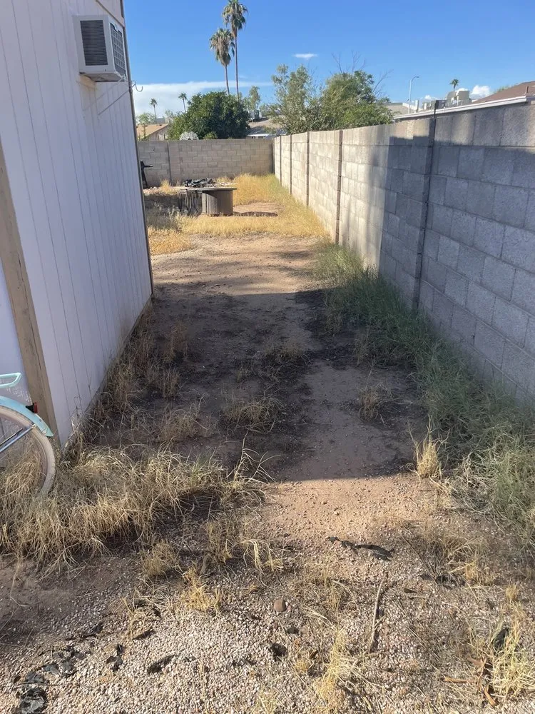 Expert yard cleanup service in Chandler, AZ by Denis Landscaping