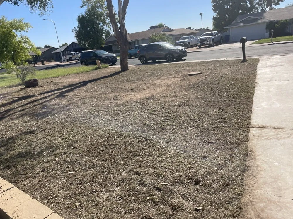 Expert landscaping services experts serving Chandler, AZ - Denis Landscaping