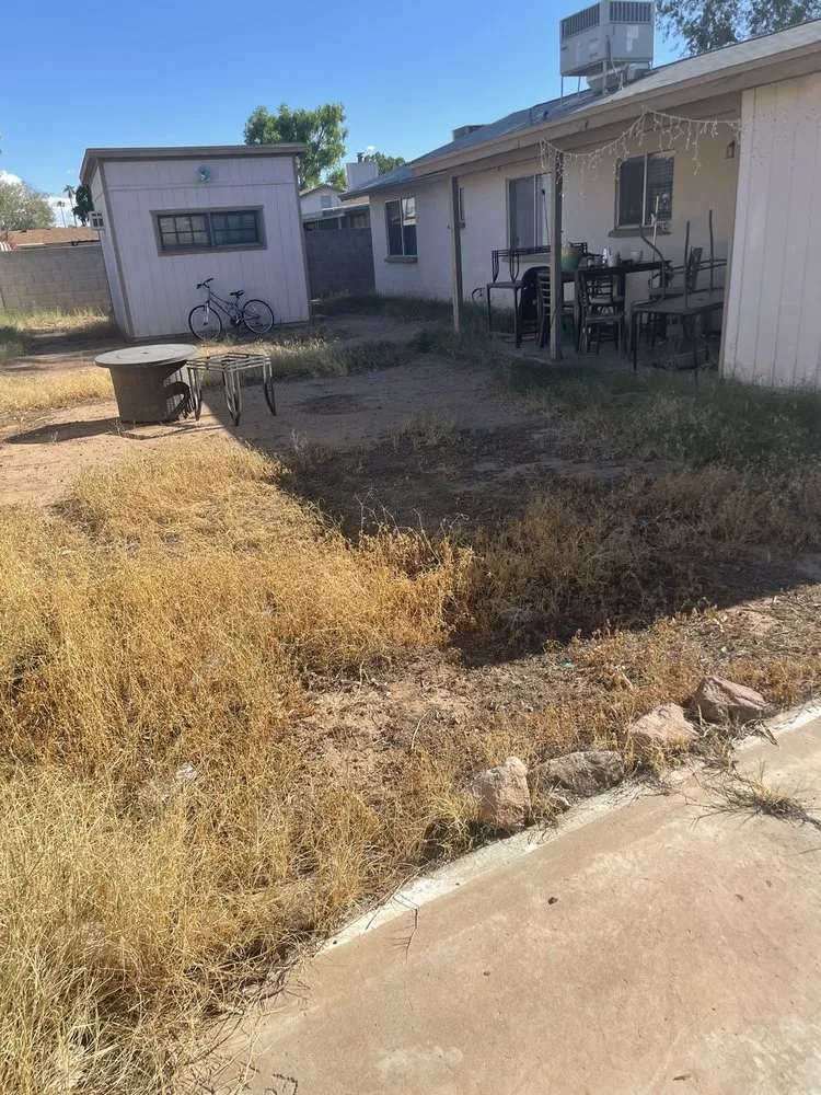 Professional lawn mowing service in Chandler, AZ - Denis Landscaping