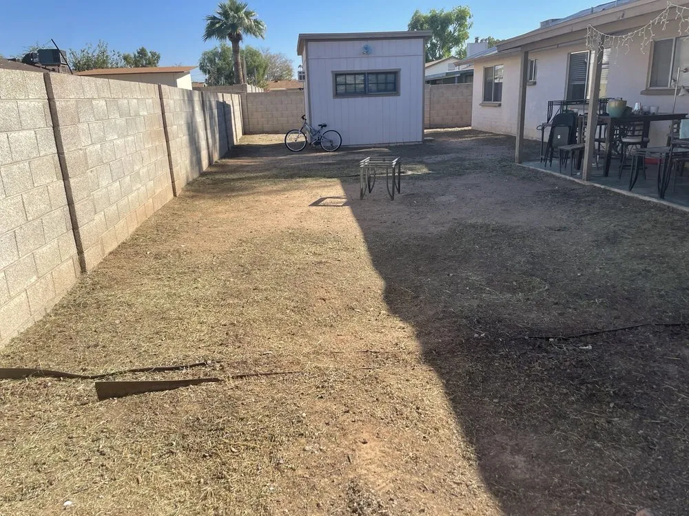 Local lawn care service for residential properties across Chandler, AZ - Denis Landscaping