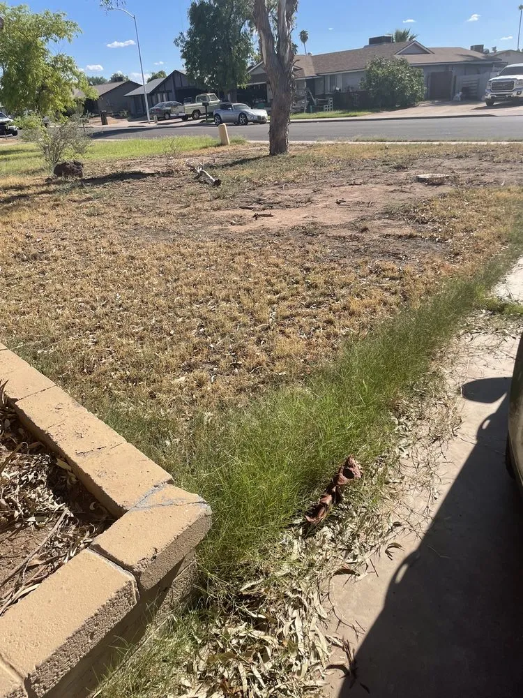 Reliable landscape design for residential properties across Chandler, AZ - Denis Landscaping