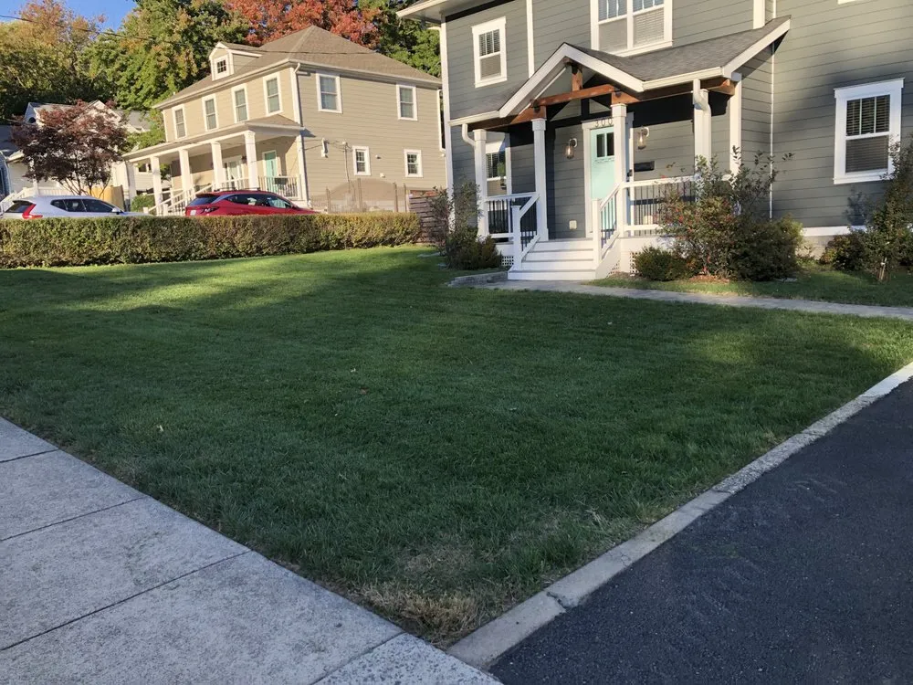 Trusted yard maintenance near you across Chantilly, VA - Denis Landscaping