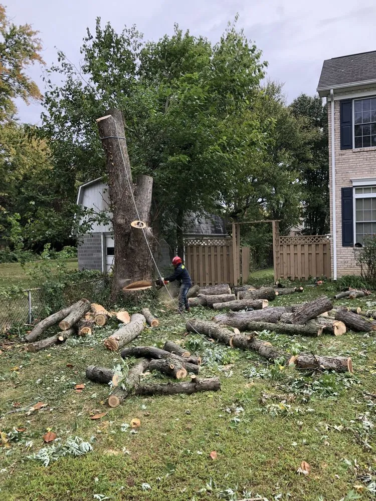 Local residential landscaping near you in Chantilly, VA by Denis Landscaping