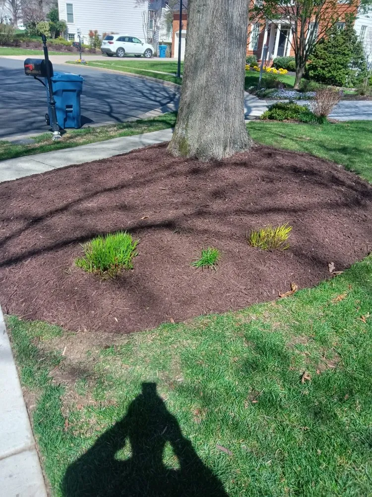 Reliable lawn care service in Chantilly, VA by Denis Landscaping