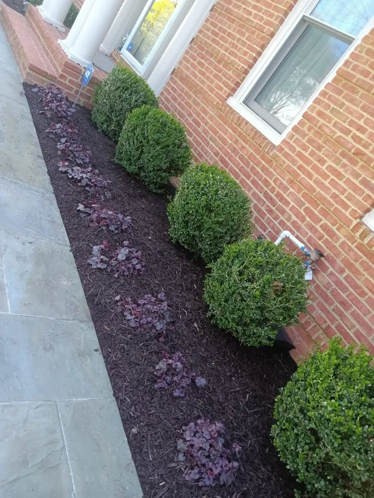 Professional outdoor landscaping experts serving Chantilly, VA - Denis Landscaping
