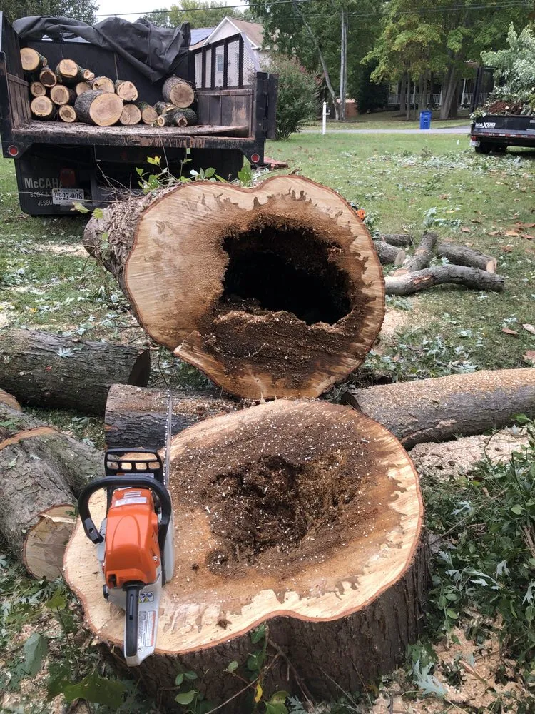 Custom lawn mowing service for homes across Chantilly, VA - Denis Landscaping