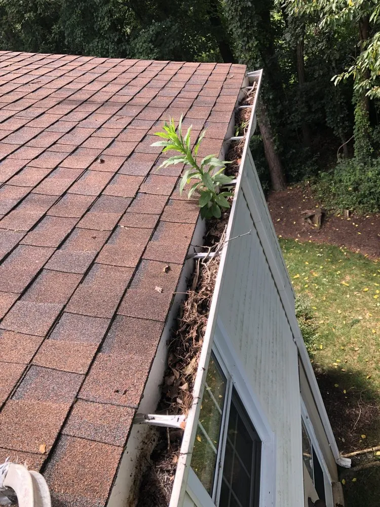 Expert landscape installation for beautiful yards in Chantilly, VA by Denis Landscaping