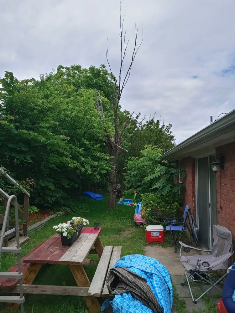 Local yard cleanup service for beautiful yards in Denison, TX by Denison Greener Earth Tree Service