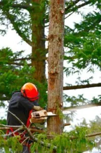 Custom outdoor landscaping near you in Denison, TX by Denison Greener Earth Tree Service