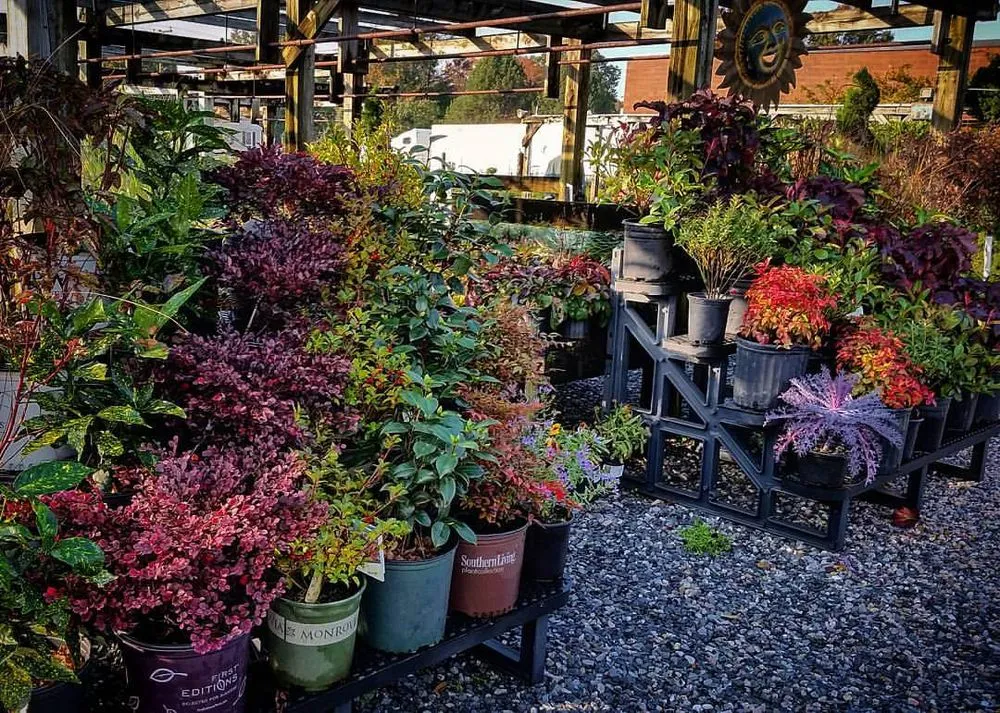 Reliable lawn mowing service in Fort Washington, MD by Denison Landscaping & Nursery