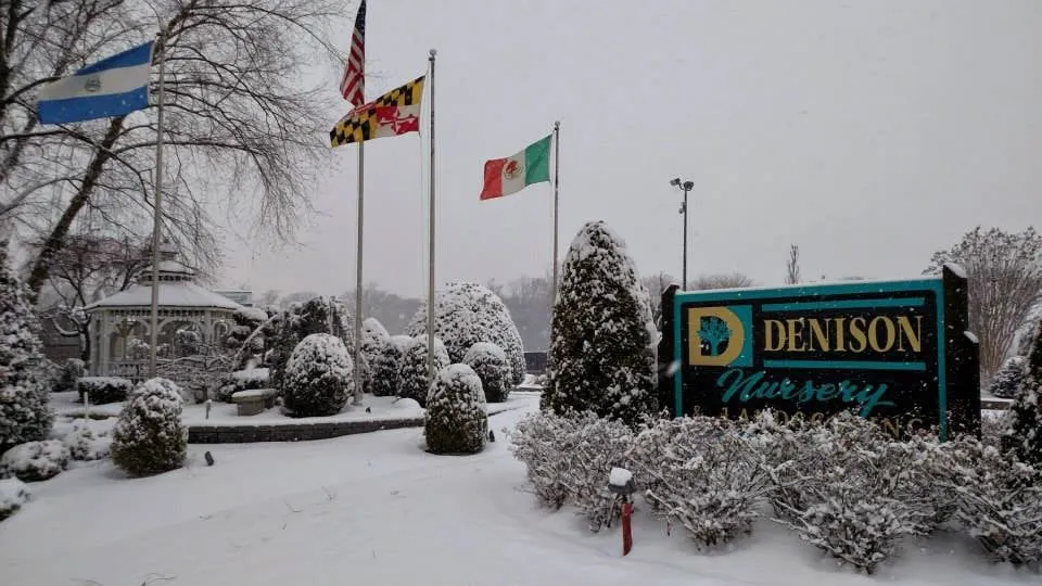 Top-rated landscape installation for outdoor upgrades in Fort Washington, MD by Denison Landscaping & Nursery