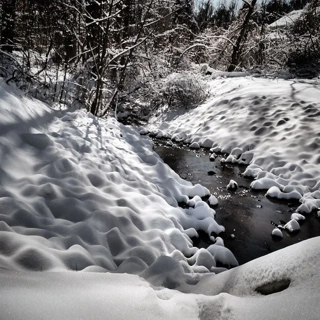 Professional lawn mowing service in Fort Washington, MD by Denison Landscaping & Nursery