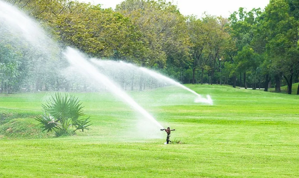 Trusted yard maintenance with custom design in Waldorf, MD by Denison Landscaping Maintenance