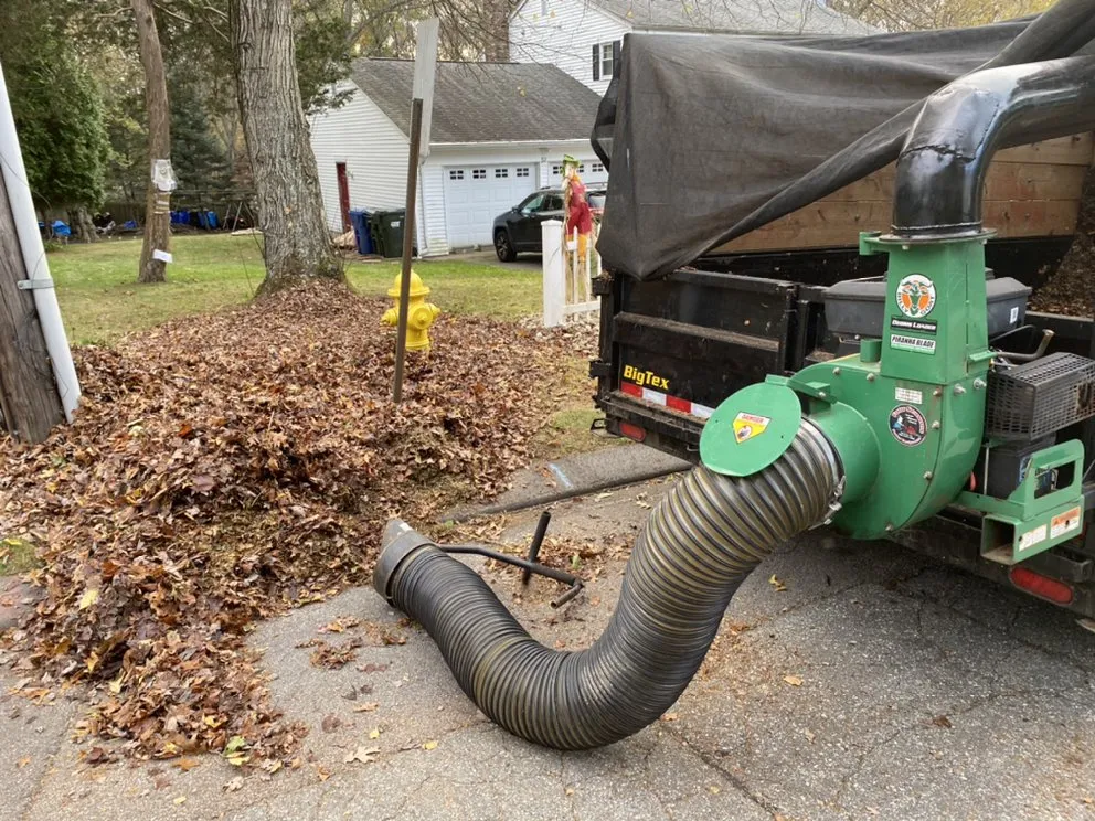 Custom yard cleanup service in Ledyard, CT by Denison Tree Removal