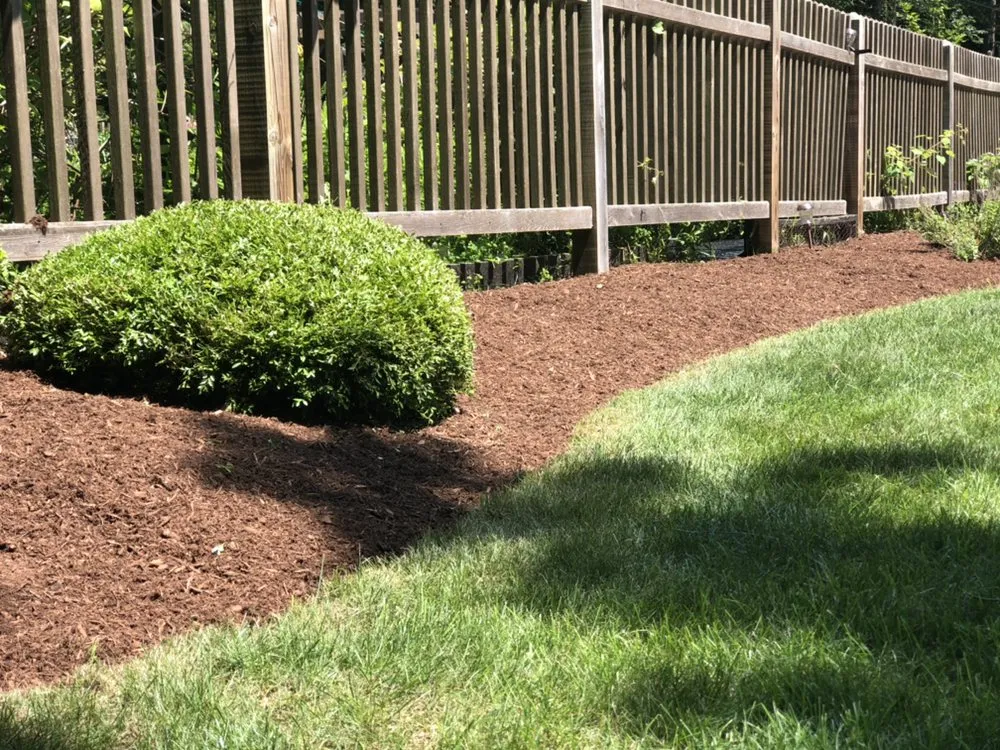 Professional lawn mowing service experts serving Ledyard, CT - Denison Tree Removal