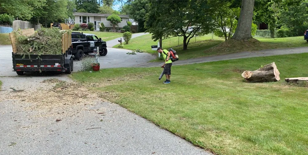 Affordable yard cleanup service in Ledyard, CT - Denison Tree Removal