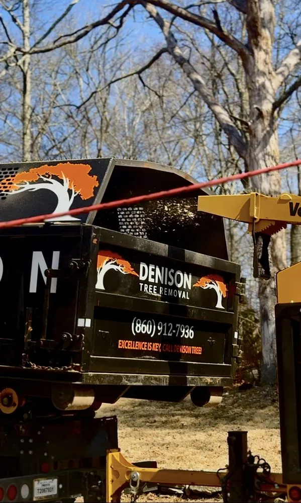 Expert landscape design in Ledyard, CT - Denison Tree Removal